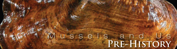 Mussels - Prehistory